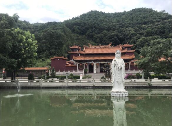 潮汕旅游风景|揭阳旅游之普宁百贰坵田藏莲寺