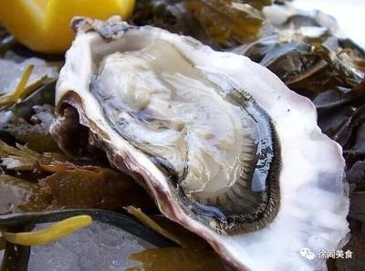 潮汕美食|揭阳美食之钱岗蚝