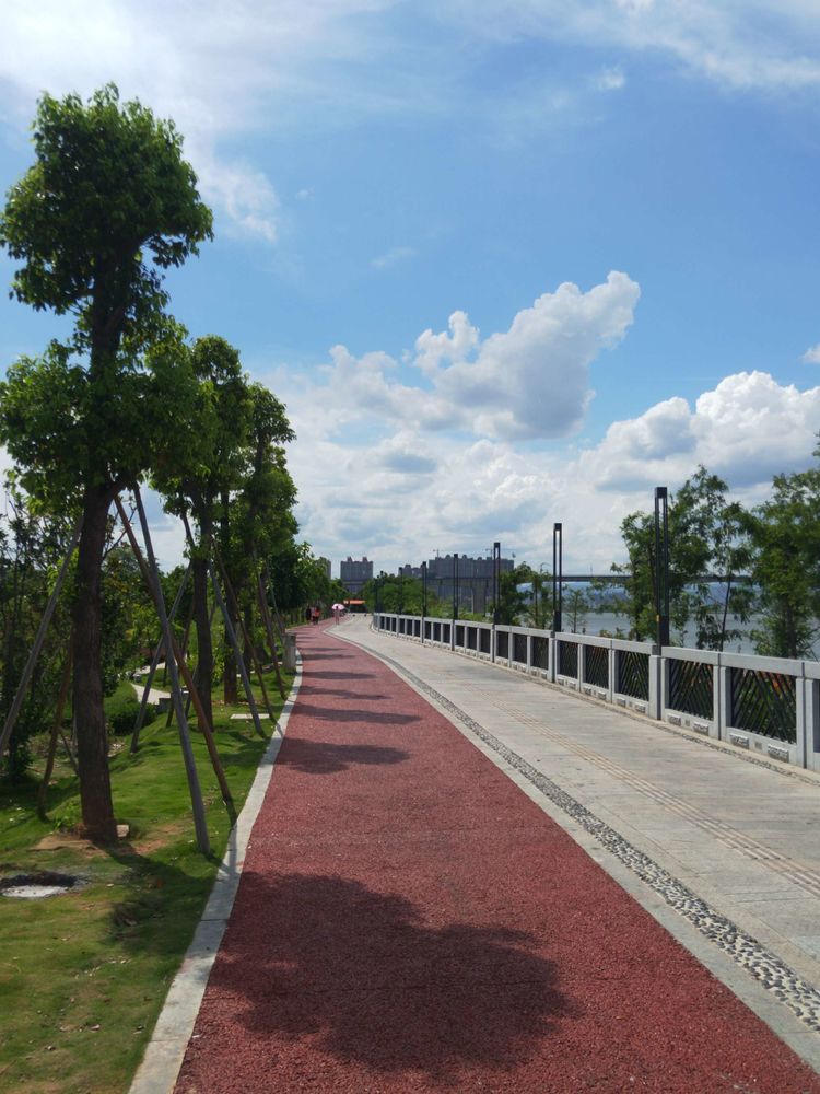 潮汕旅游风景|揭阳旅游之塘埔湿地公园