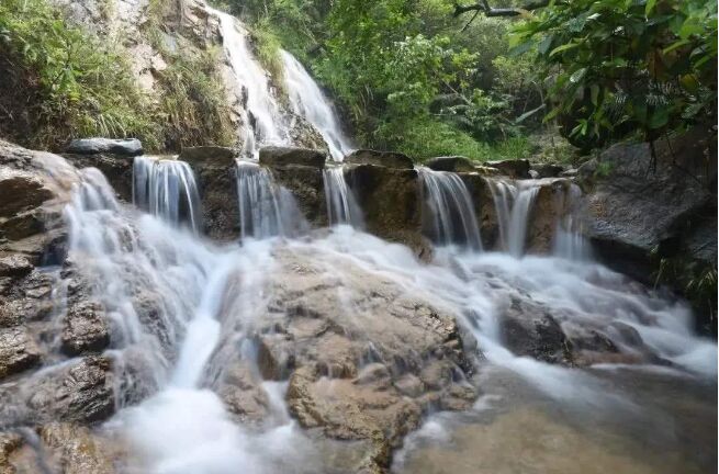 潮汕旅游风景|揭阳旅游之玉湖山生态茶园